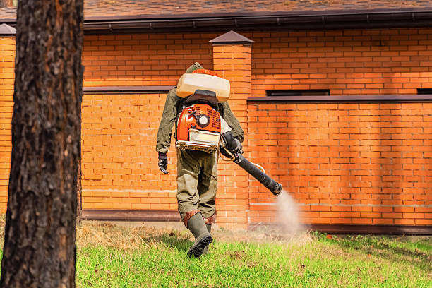 Trusted Termite Control service in Winona, MN - Nex Pest Control